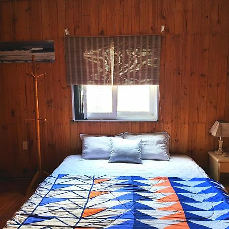 Hi Da Nang Beach Hostel グーハインソン区 エクステリア 写真